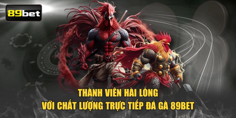 Thành viên hài lòng với chất lượng trực tiếp đá gà 89BET